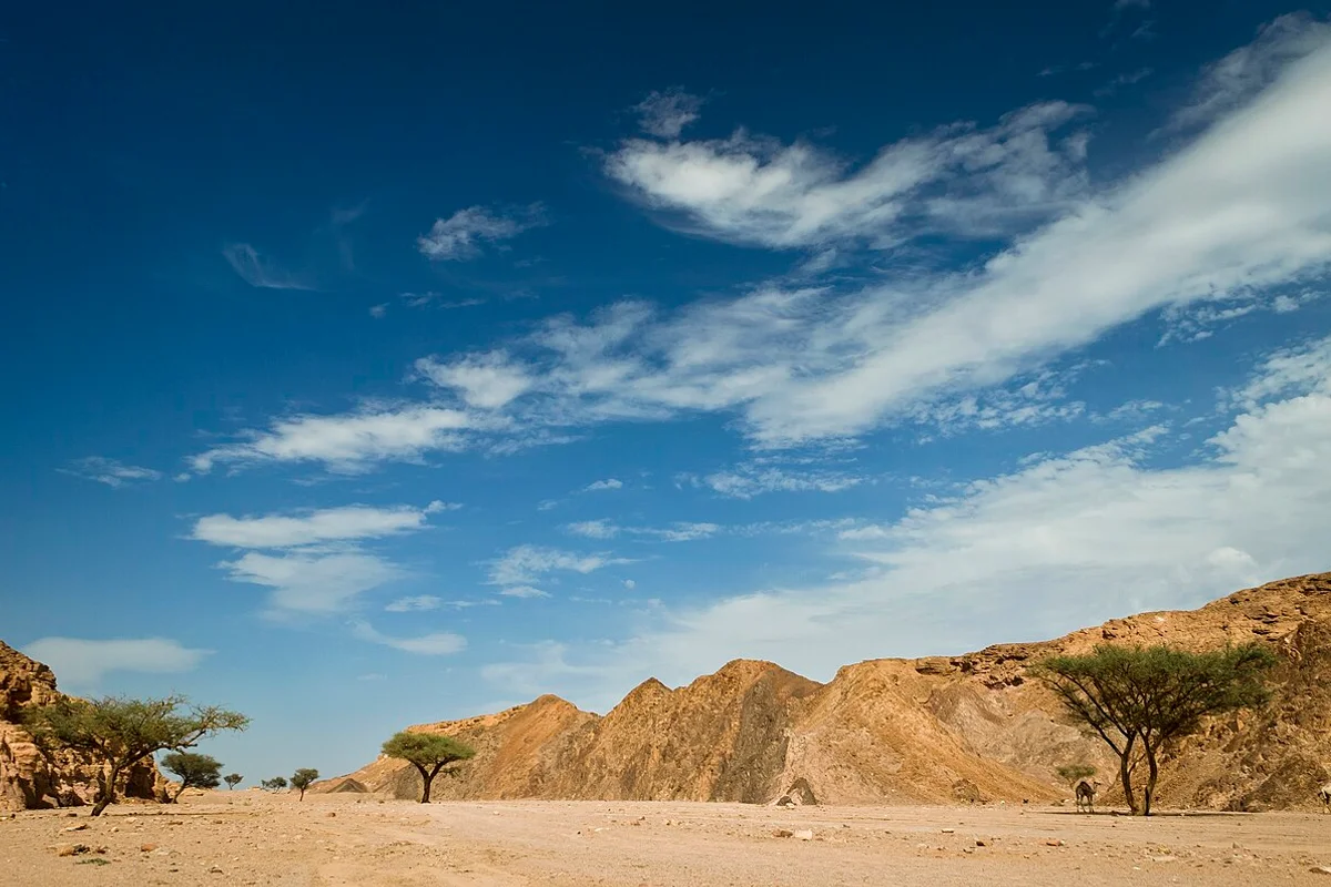 Ras Mohammed National Park
