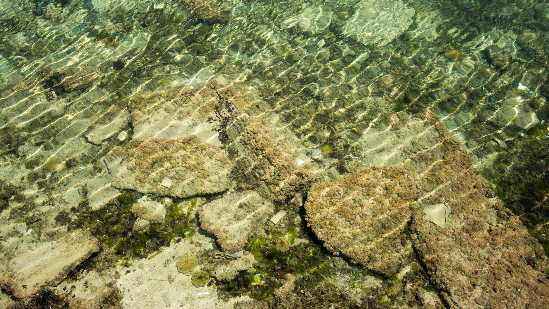 Alexandria, Egypt - Clear waters revealing rocks and sand in alexandria, egypt.