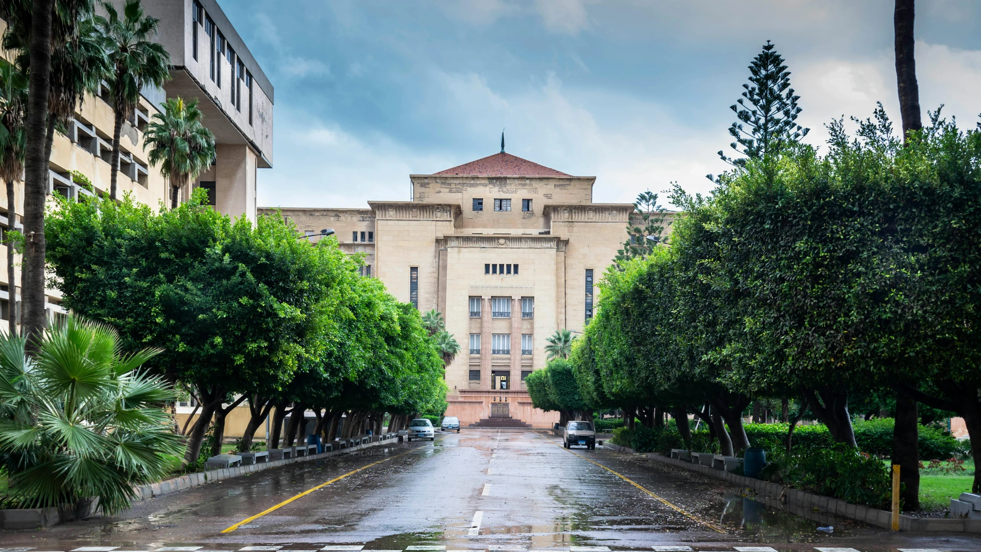 Alexandria, Egypt - Beautiful view of a tree-lined drive leading to a historic building in alexandria, egypt.