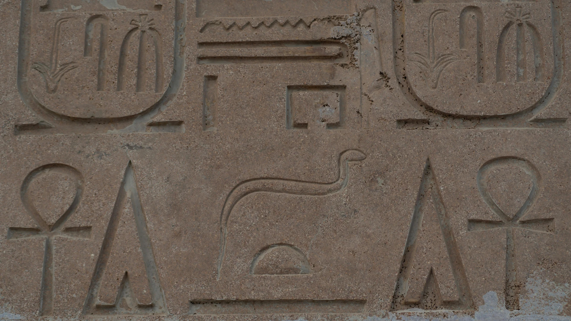 Sahl Hasheesh, Egypt - Close-up of ancient egyptian hieroglyphs carved on a sandstone wall, showing iconic symbols and inscriptions.