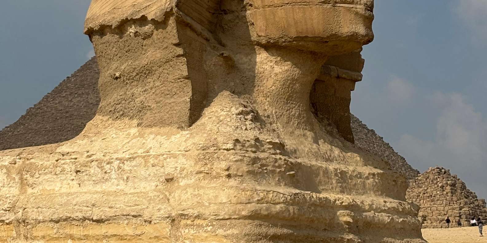 صورة التقييم 3