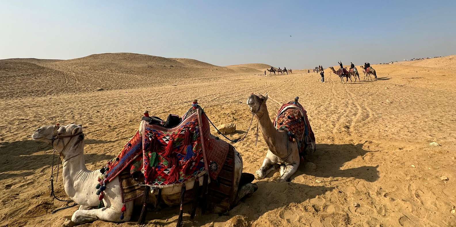 صورة التقييم 1