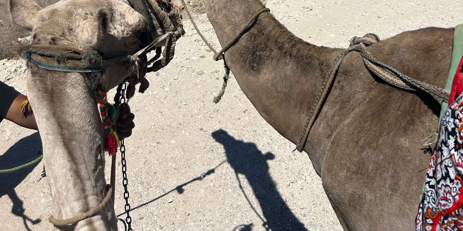 Изображение отзыва 1