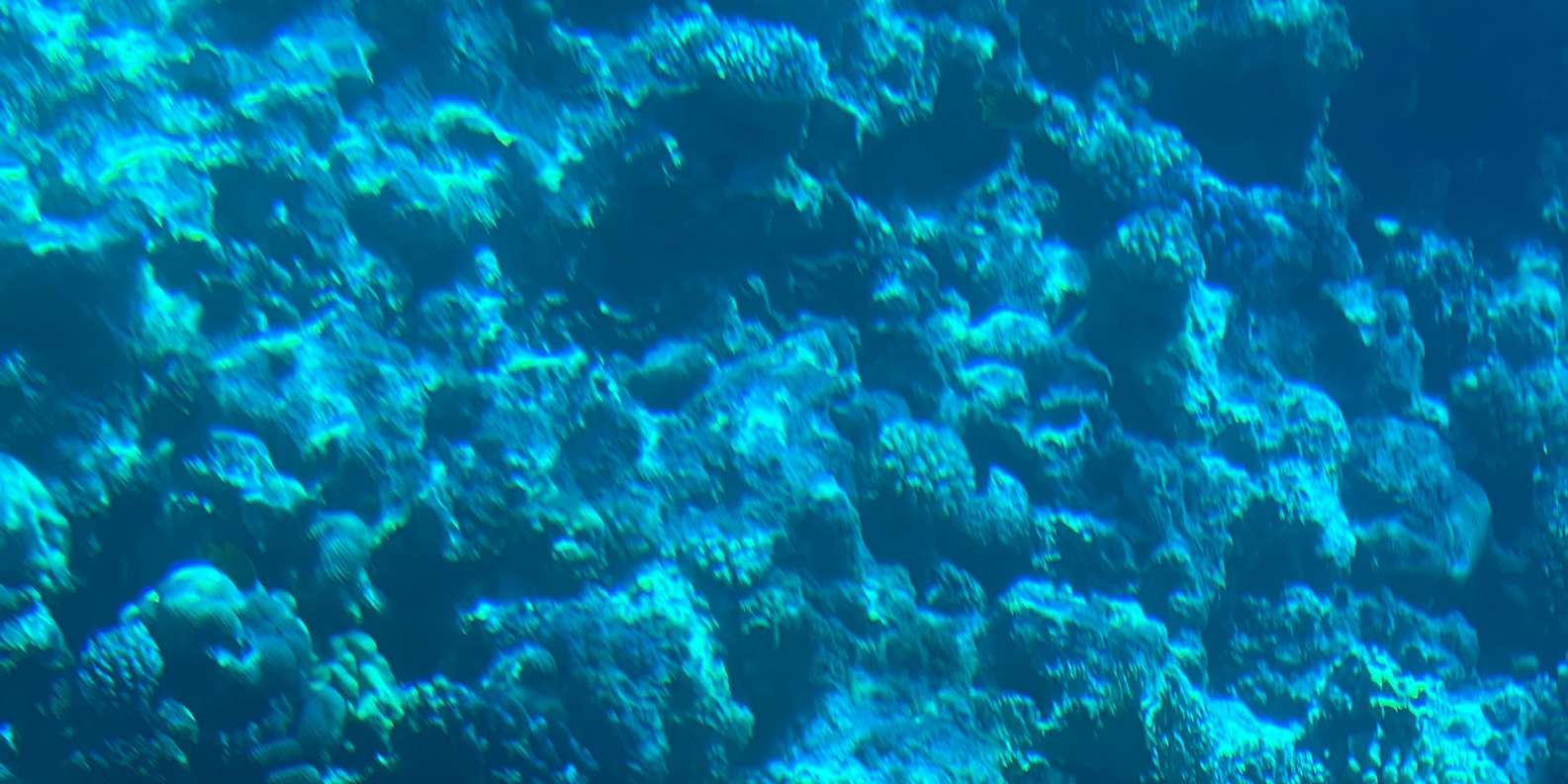 Immagine recensione 1