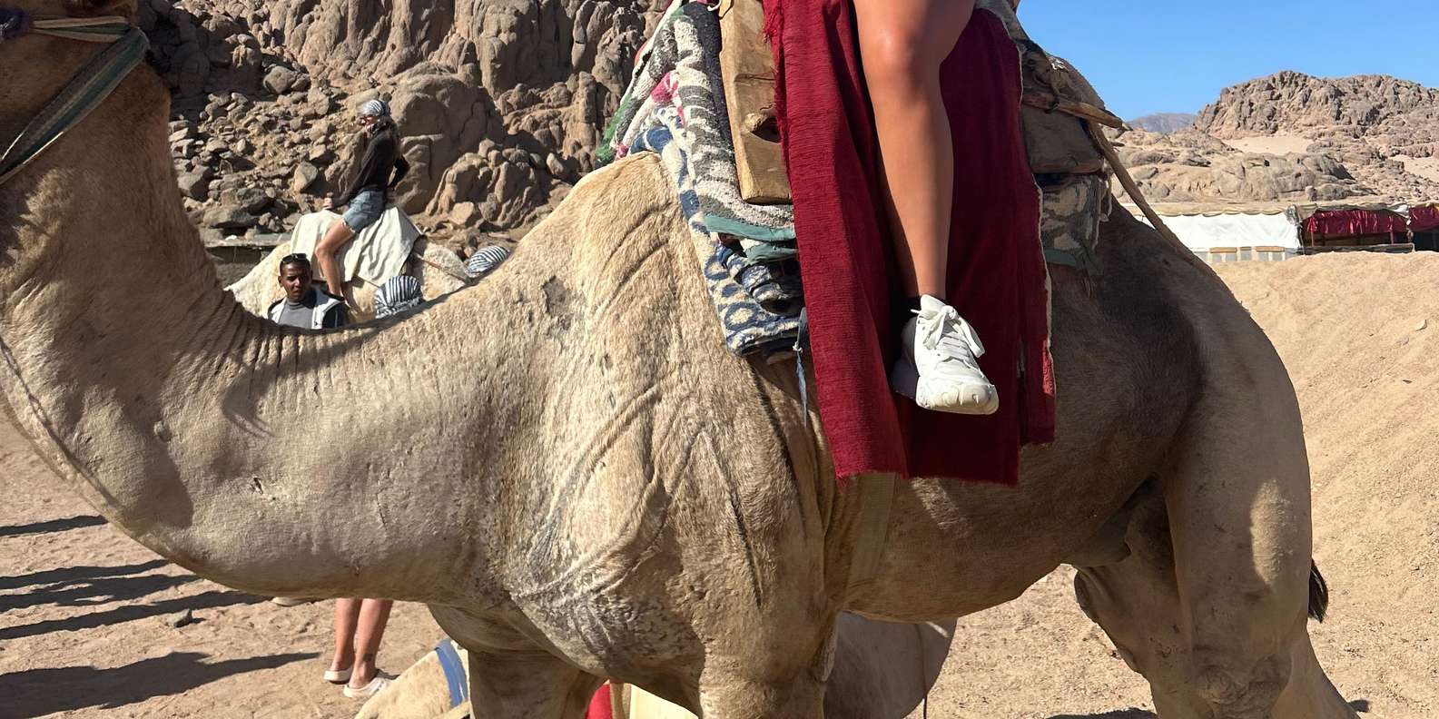 صورة التقييم 1