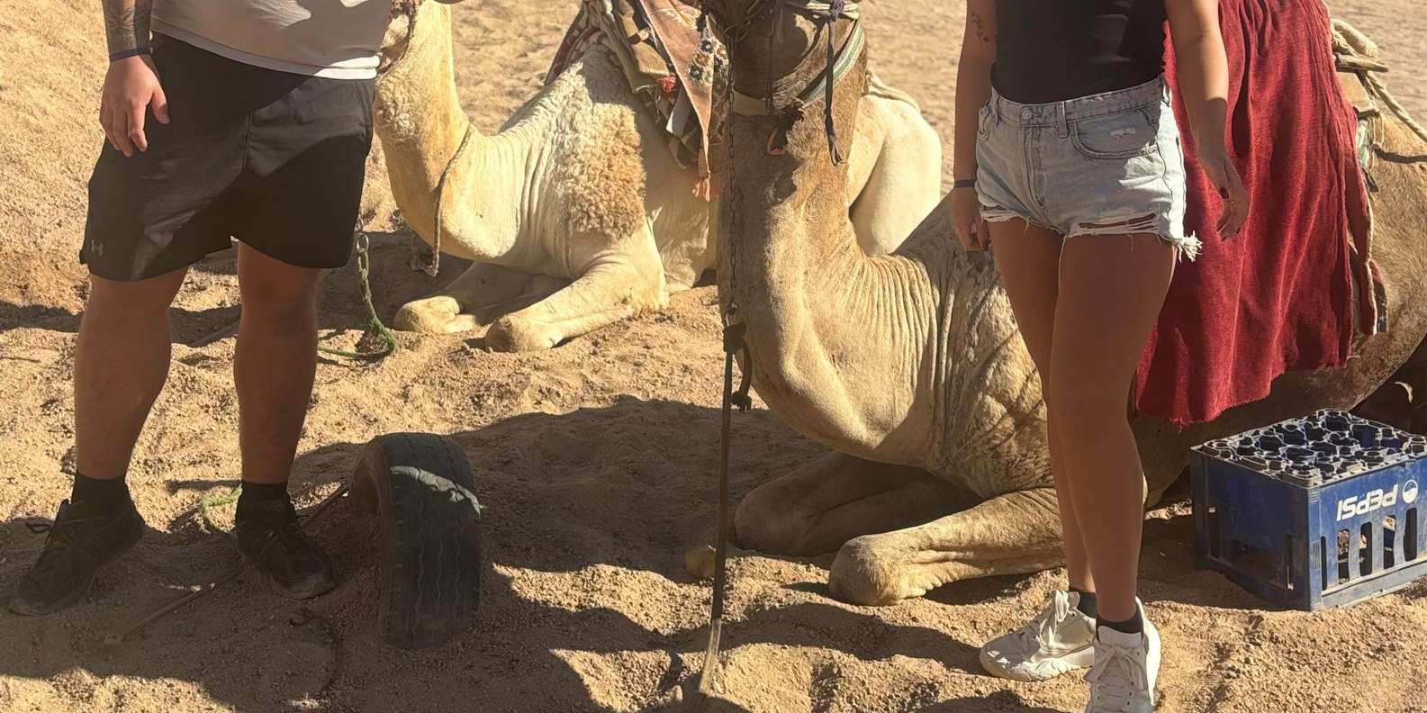 صورة التقييم 2