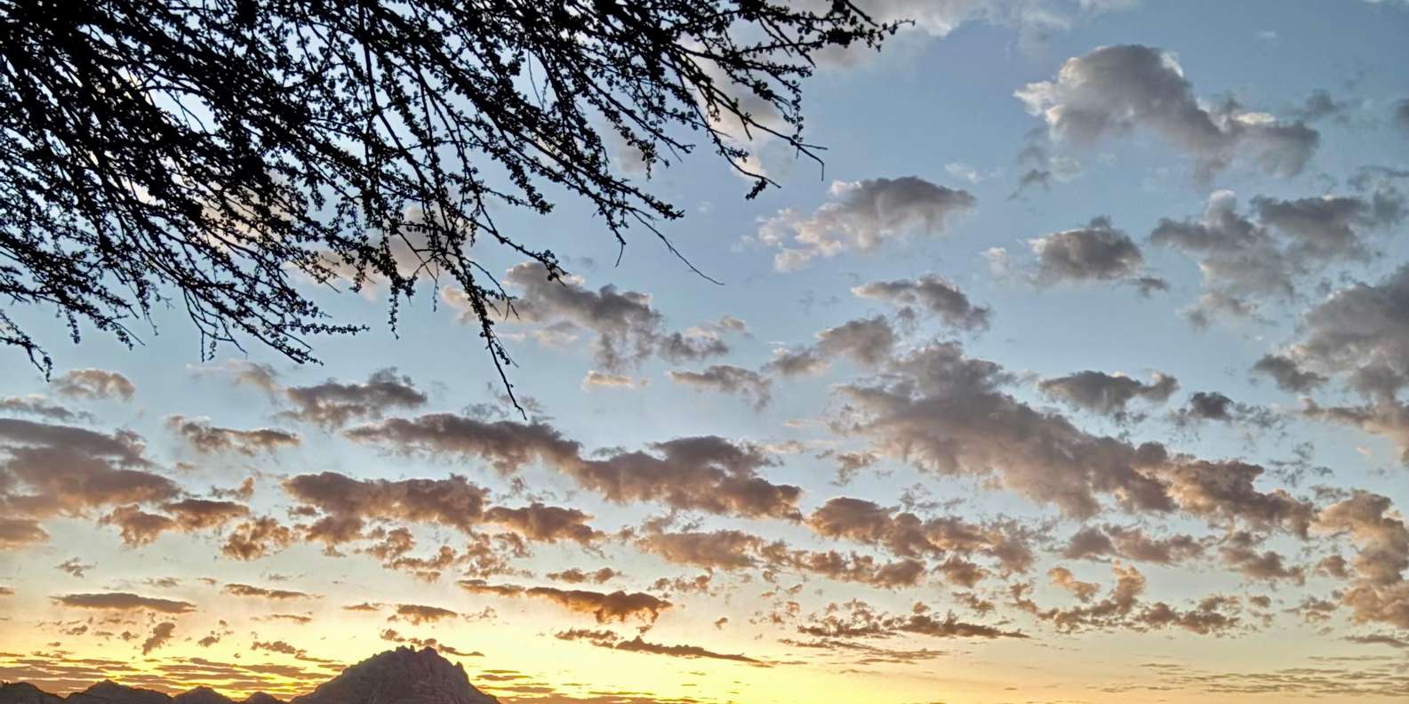 صورة التقييم 2