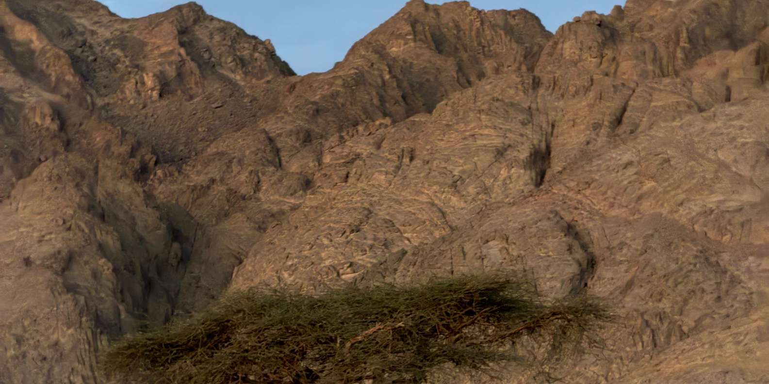 صورة التقييم 3