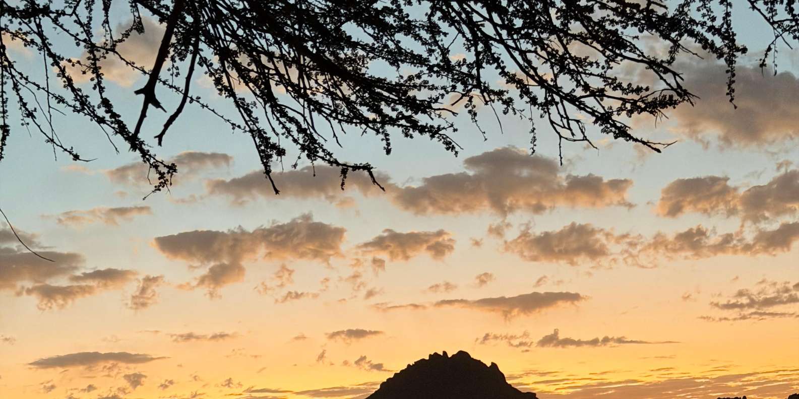 صورة التقييم 2