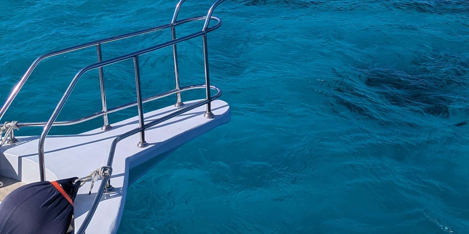 صورة التقييم 1