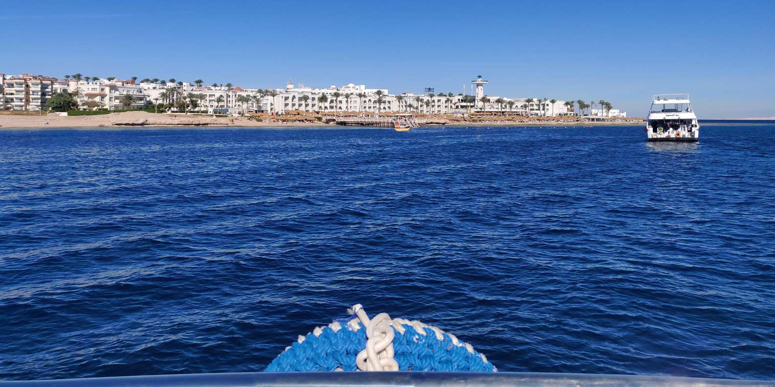 صورة التقييم 1