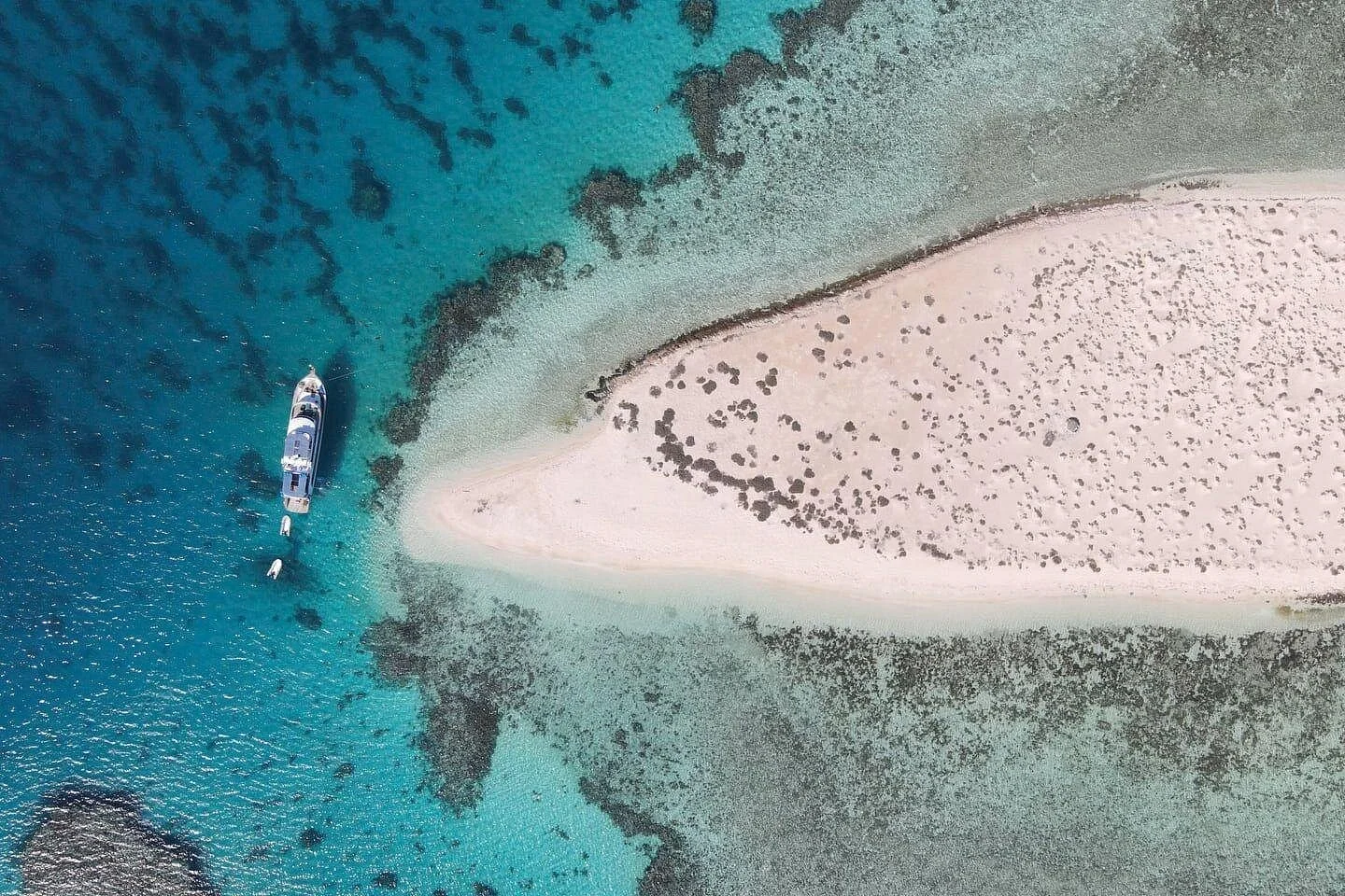 hamata snorkeling sea trip from marsa alam - Image 3