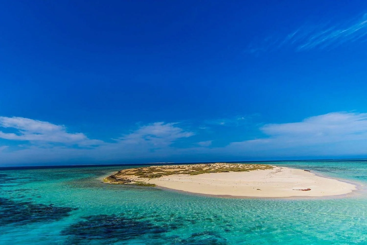 hamata snorkeling sea trip from marsa alam - Image 4