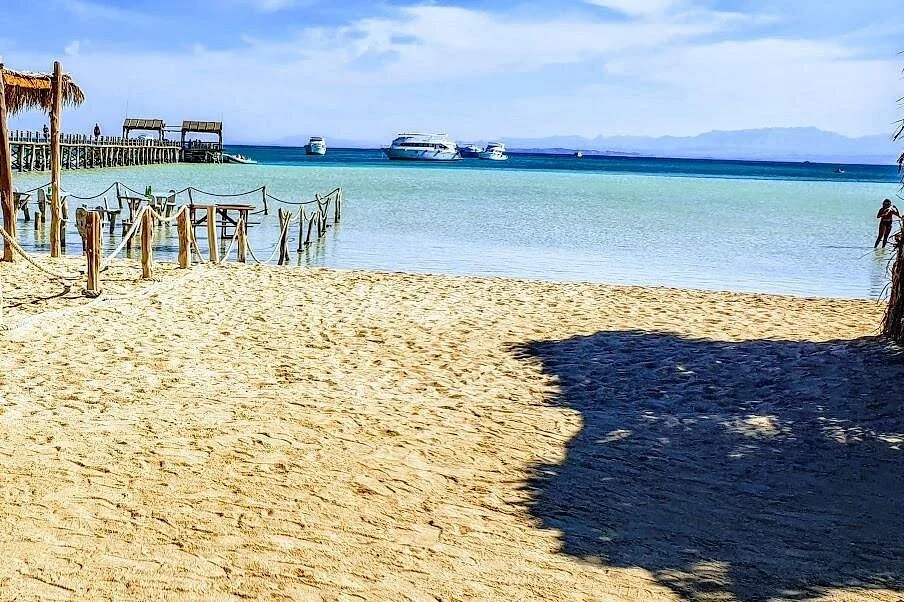 hurghada dolphin watching boat tour with snorkeling lunch - Image 3