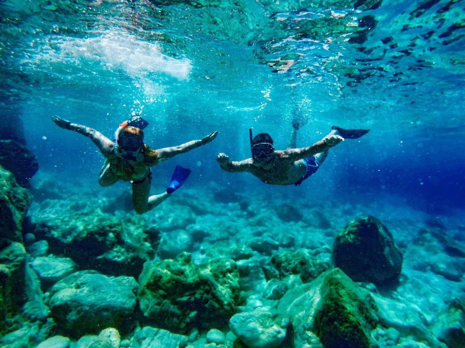 hurghada dolphin watching boat tour with snorkeling lunch - Image 5