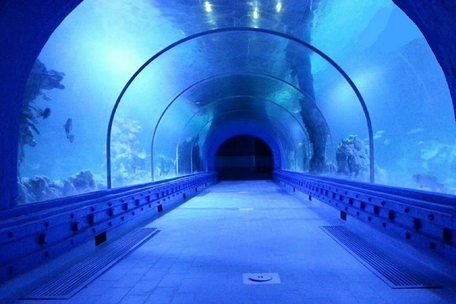 hurghada grand aquarium tour with skip the line ticket - Image 6