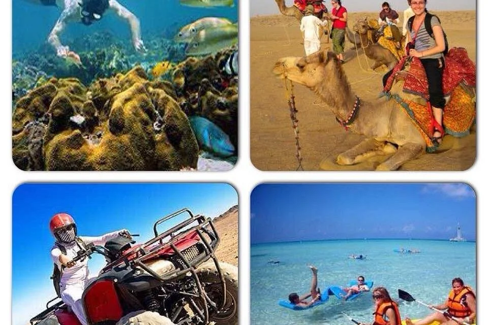 mega safari experience - Image 4