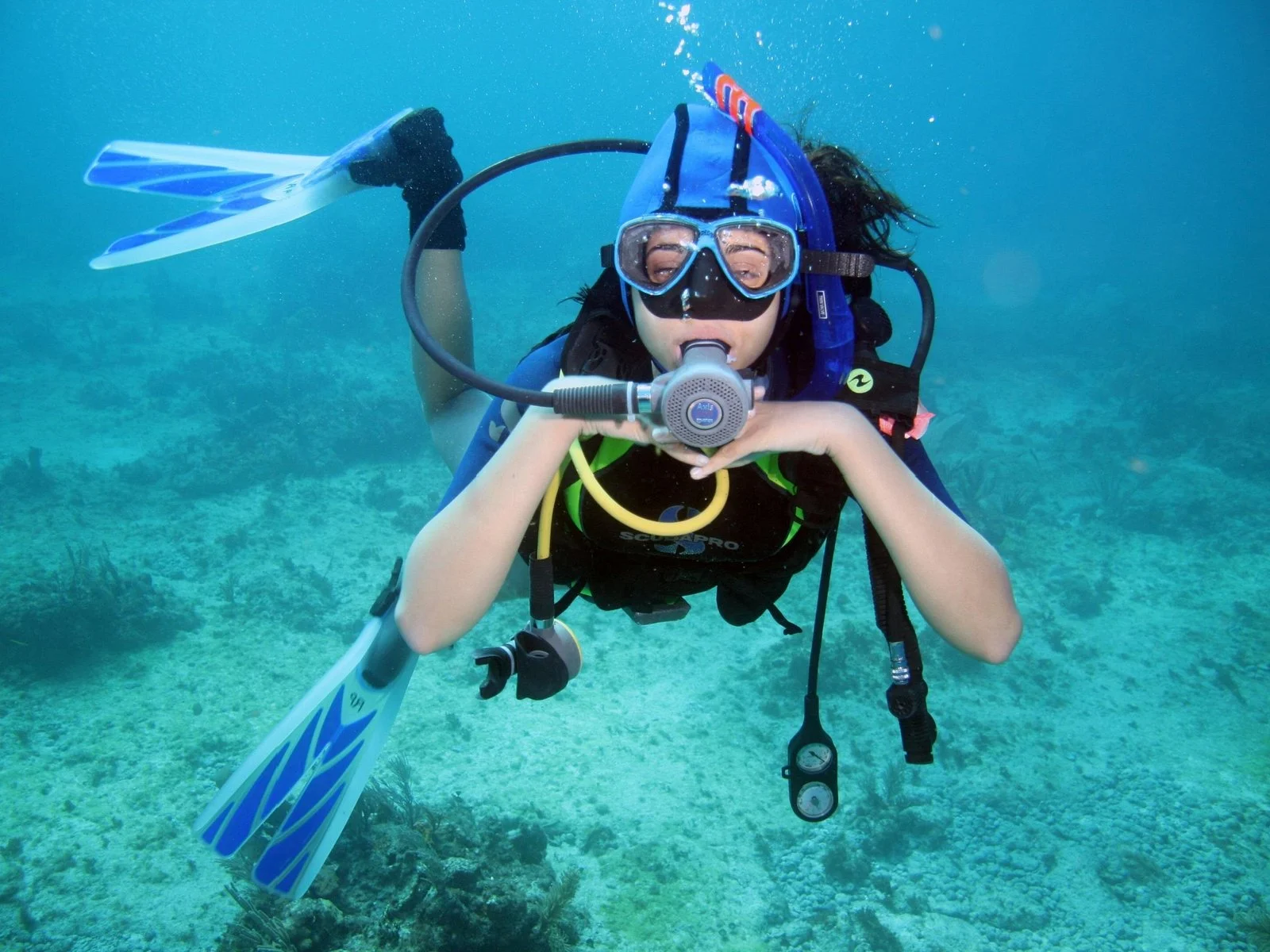 padi advanced diving course open water license marsa alam - Image 3