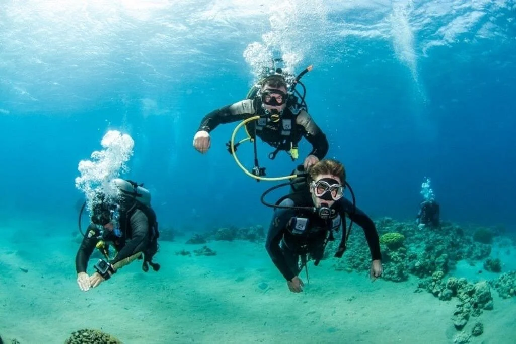 padi advanced diving course open water license marsa alam - Image 5