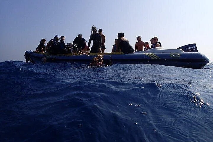 sataya dolphin house snorkel from marsa alam - Image 4