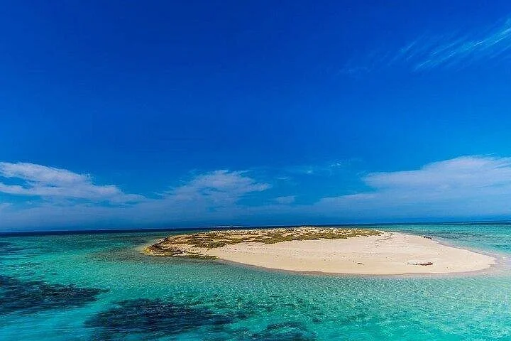 seaside adventures from marsa alam to hamata with lunch - Image 4