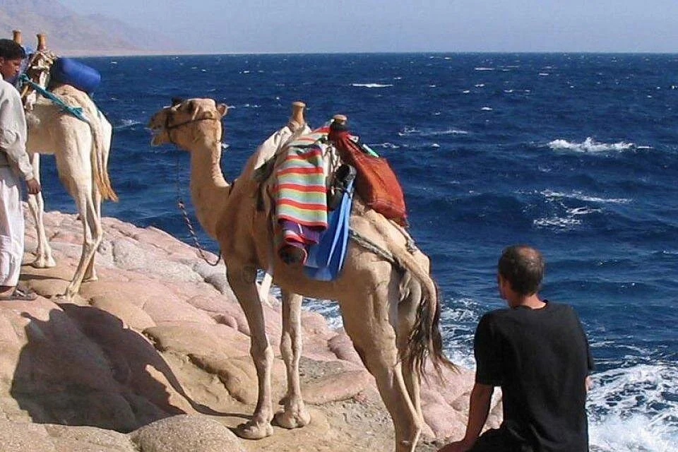 sharm el sheikh top things to do in 3 day - Image 4
