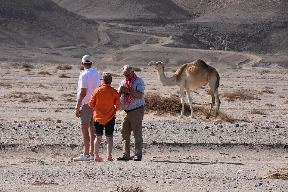 star gazing in marsa alam - Image 3