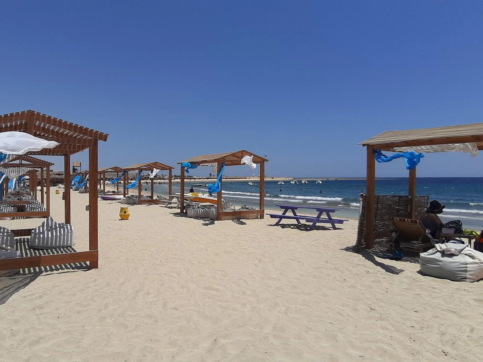 turtles bay swimming with turtles hurghada marsa alam - Image 3