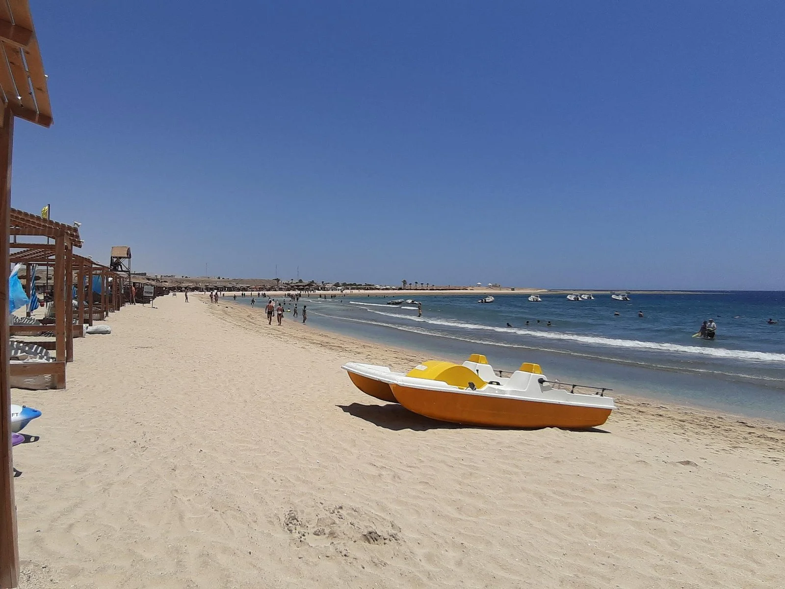 turtles bay swimming with turtles hurghada marsa alam - Image 4