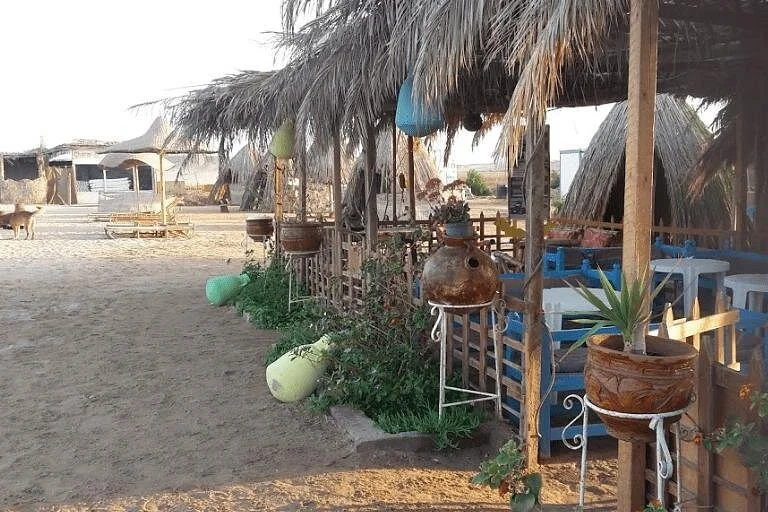 zaina beach camp day trip with lunch - Image 3