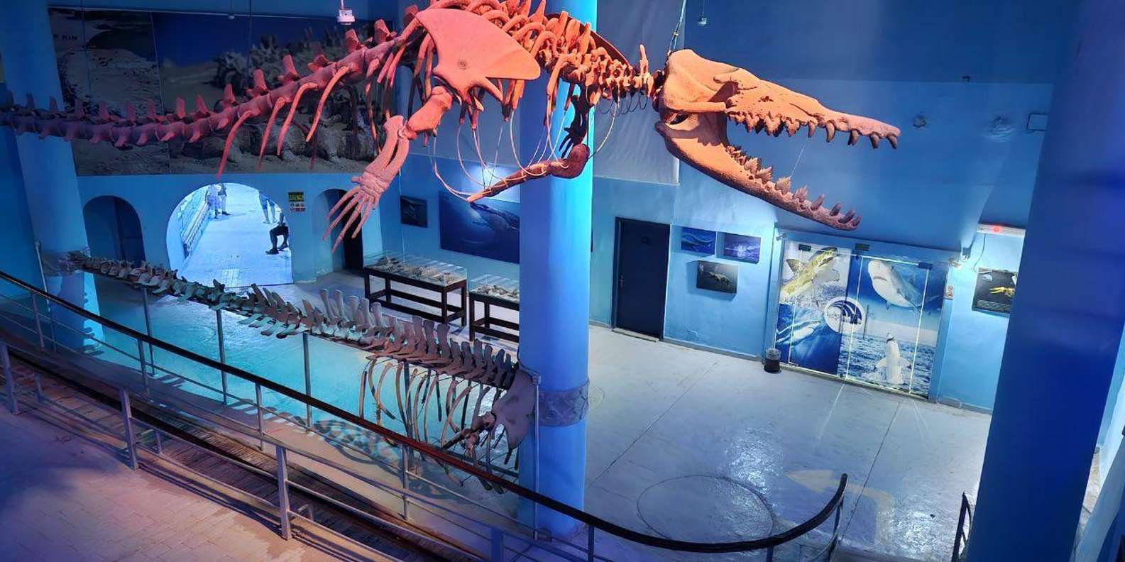 Hurghada: Grand Aquarium Entry Ticket & Mini Zoo