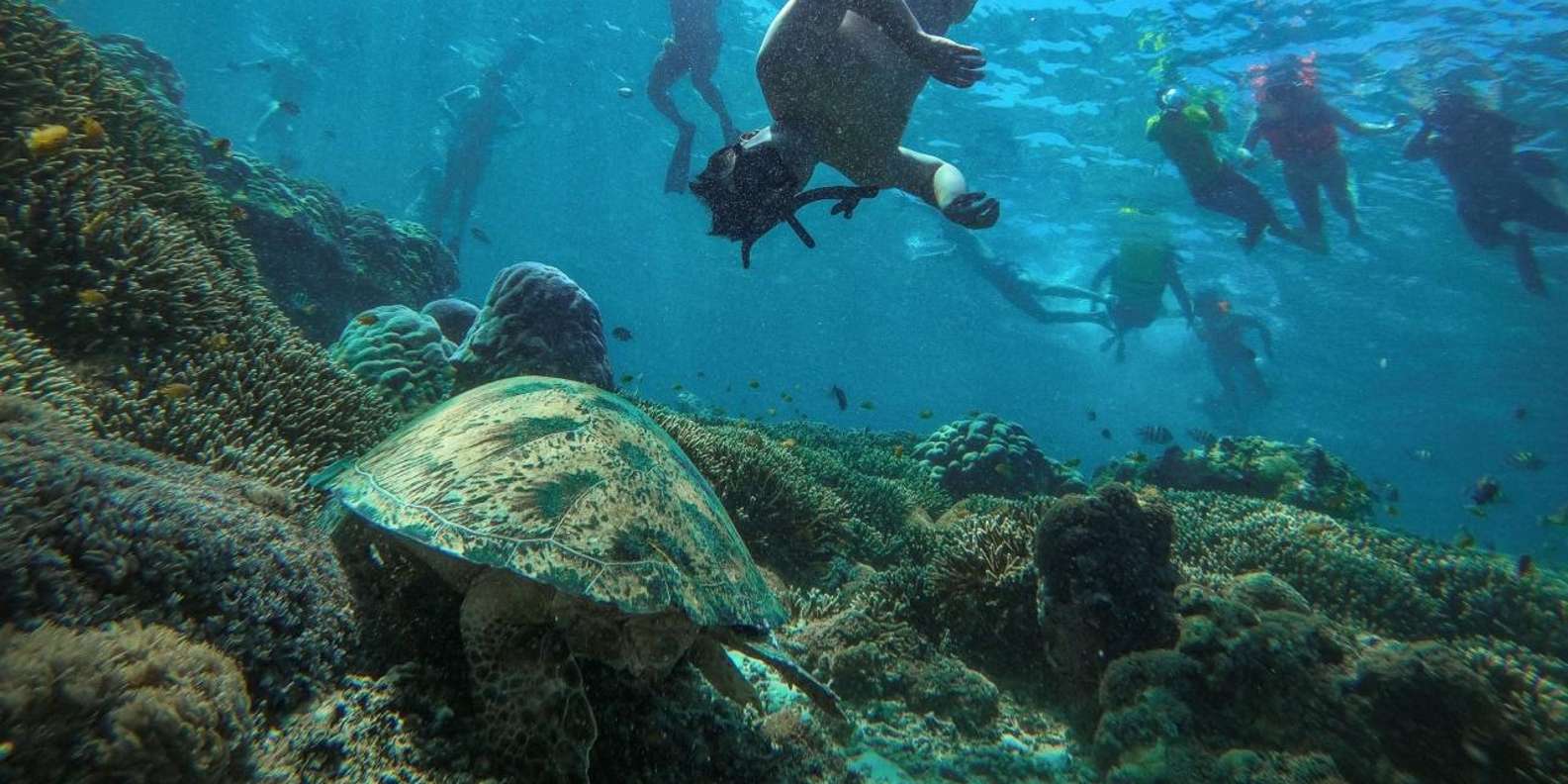 Sharm El Sheikh: Ras Mohamed Snorkel & Dive Cruise