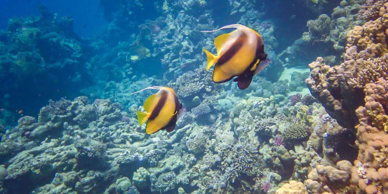 Hurghada: 3 Islands, Dolphins & Snorkel Yacht Trip