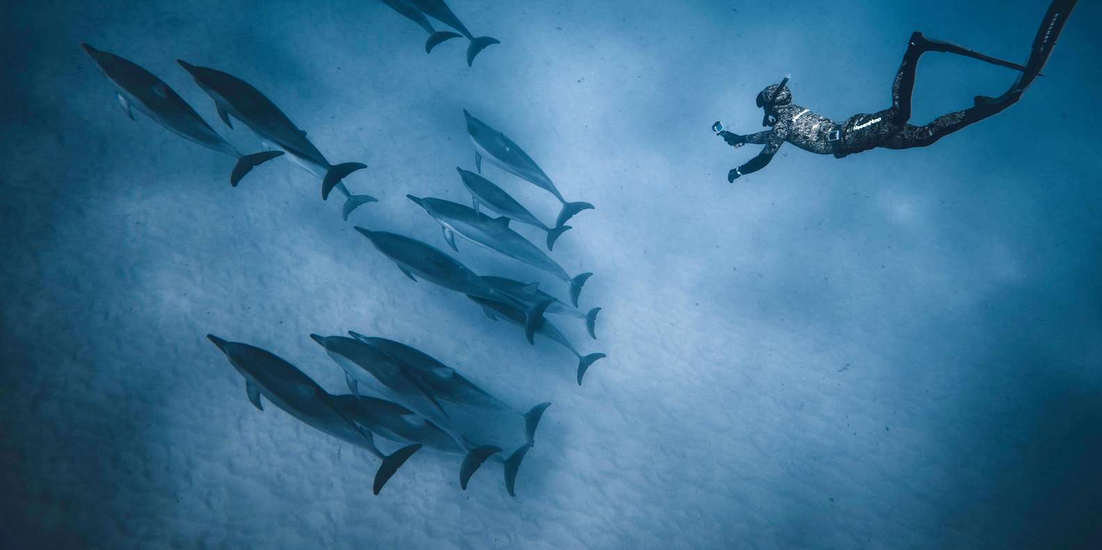 Hurghada: VIP Dolphin House, Snorkelling & Massage