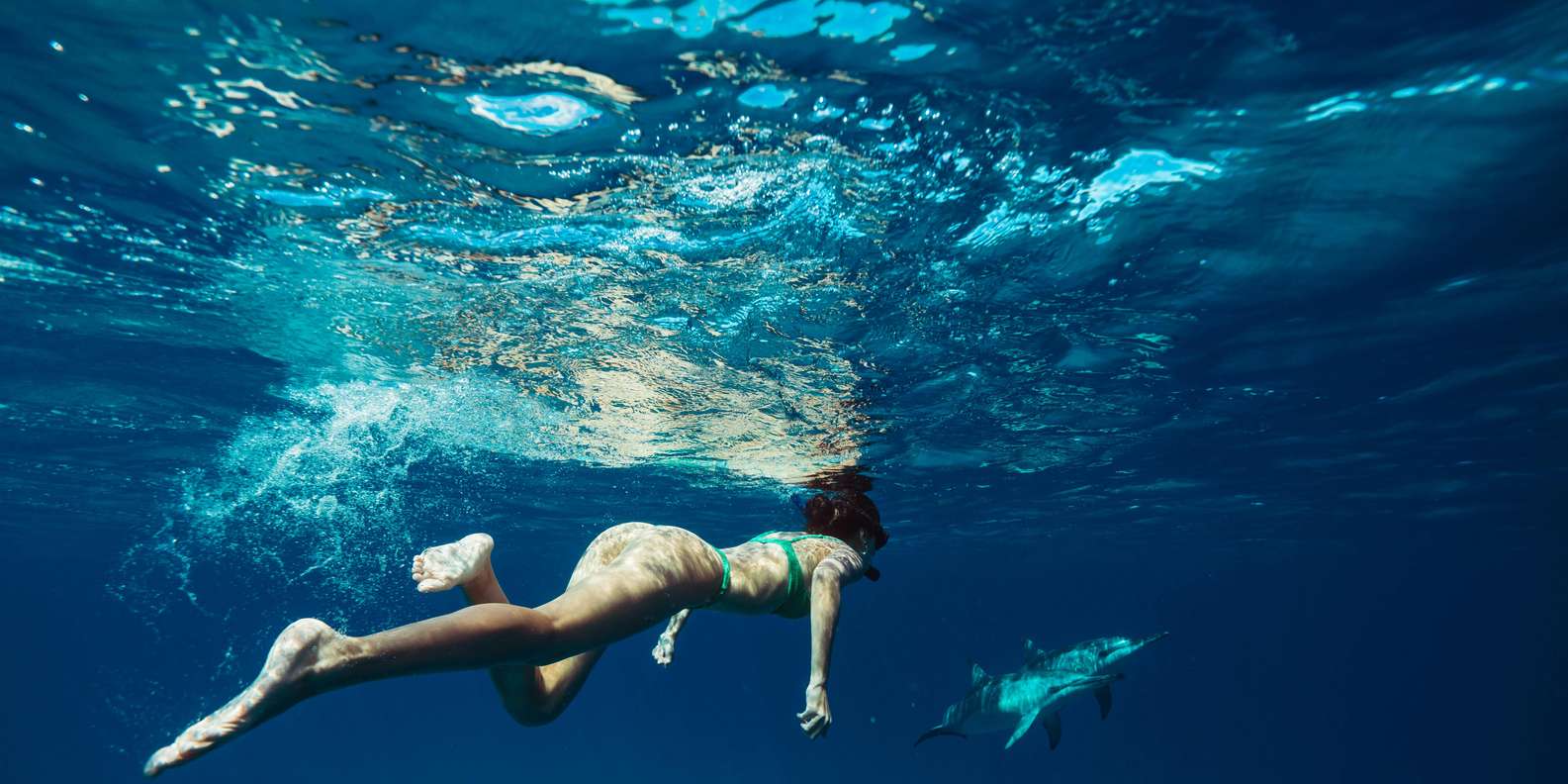 Hurghada: VIP Dolphin House, Snorkelling & Massage