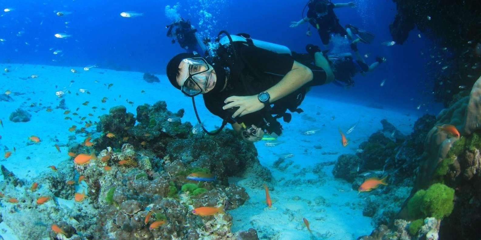 Hurghada: Beginner Diving Trip with Lunch, Transfer & Gear