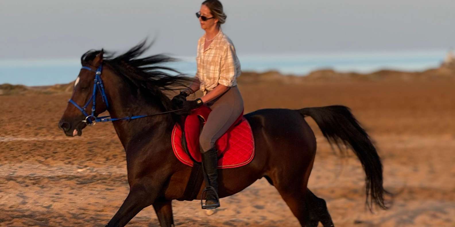 Hurghada: Desert and Beach Horse Riding Adventure