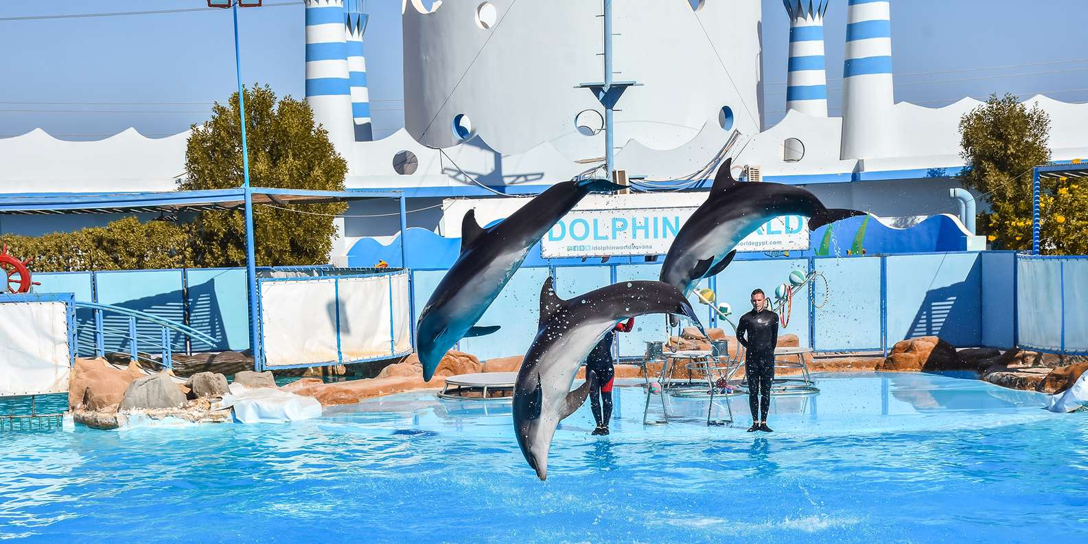 Hurghada: Dolphin World Show with Walruses & Pickup