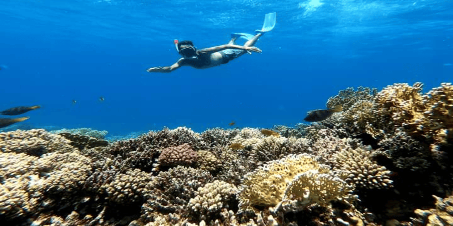 Hurghada: Luxury Cruise to Orange Bay with Lunch