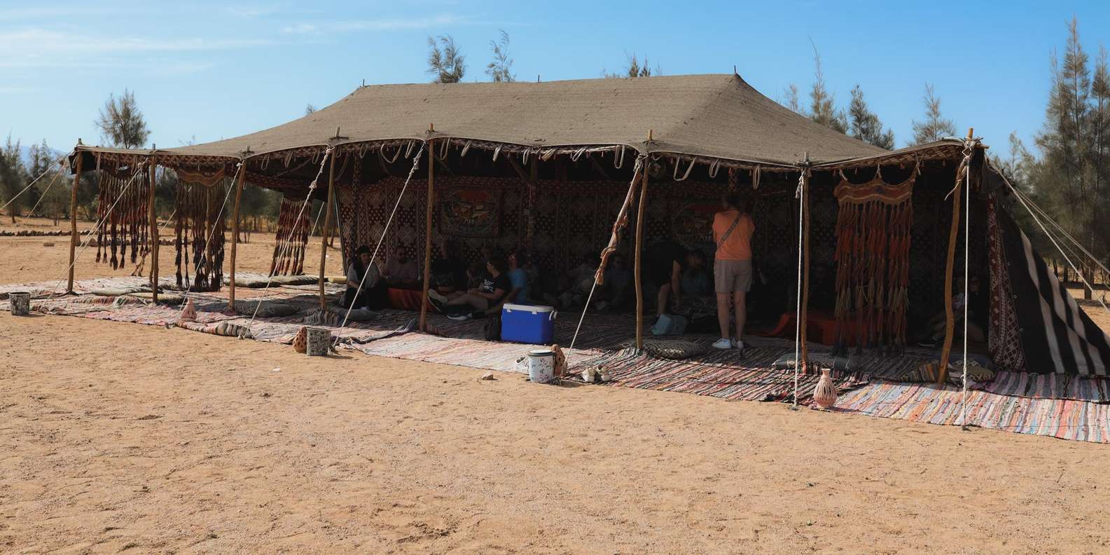 Hurghada: Oasis Sunset Camel Ride & Stargazing