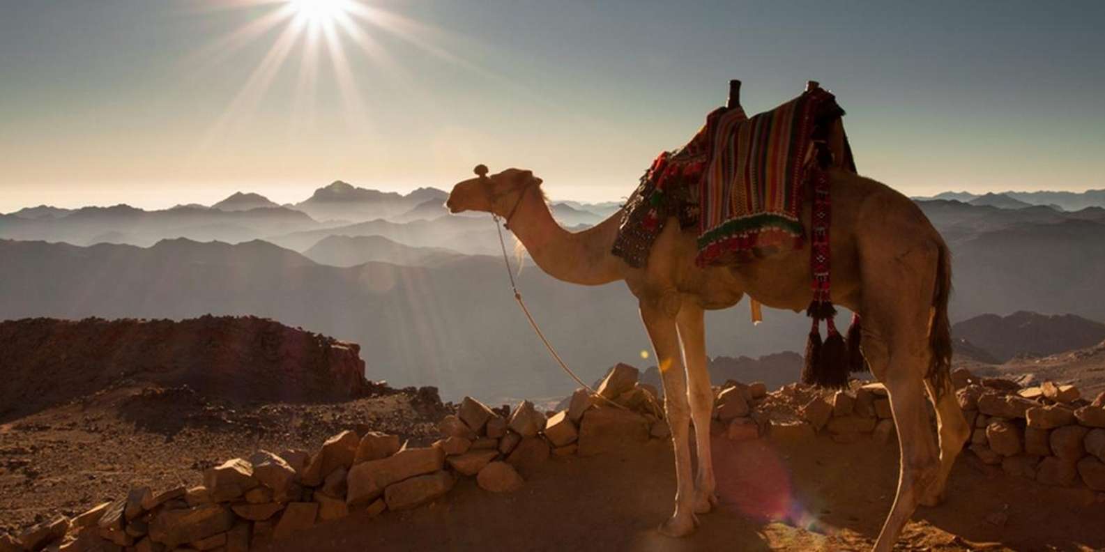 Hurghada: Sea & Desert Camel Ride w/Dinner, Show