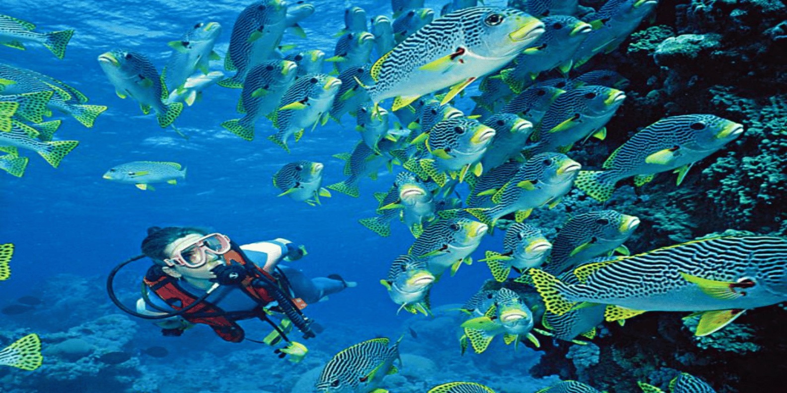 Hurghada: Luxury Diving & Snorkelling inc Island/Lunch/Massage