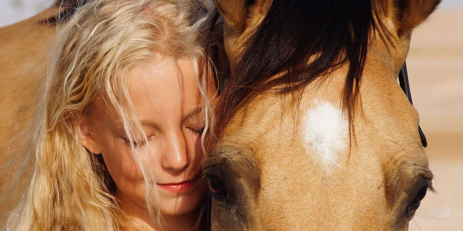 Makadi Bay: Desert & Sea Horse Riding w Guide + Transfers