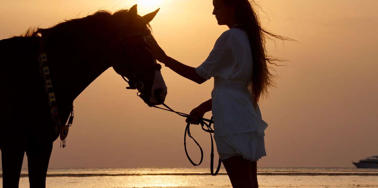 Makadi Bay: Desert & Sea Horse Riding w Guide + Transfers