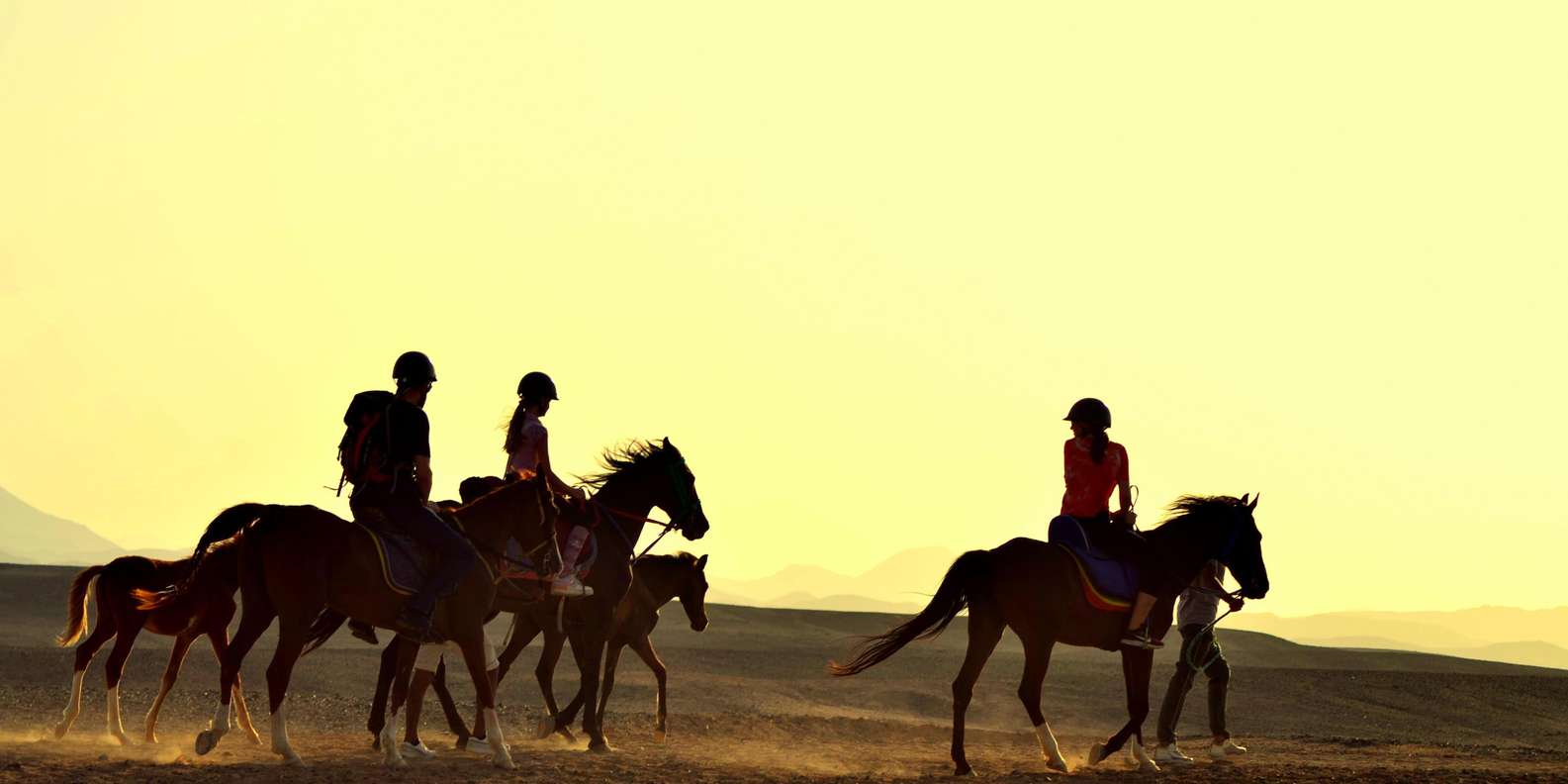 Marsa Alam: Sea and Desert Horseback Adventure