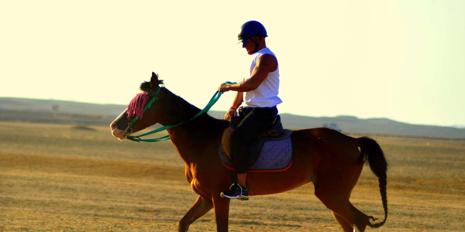 Marsa Alam: Sea and Desert Horseback Adventure