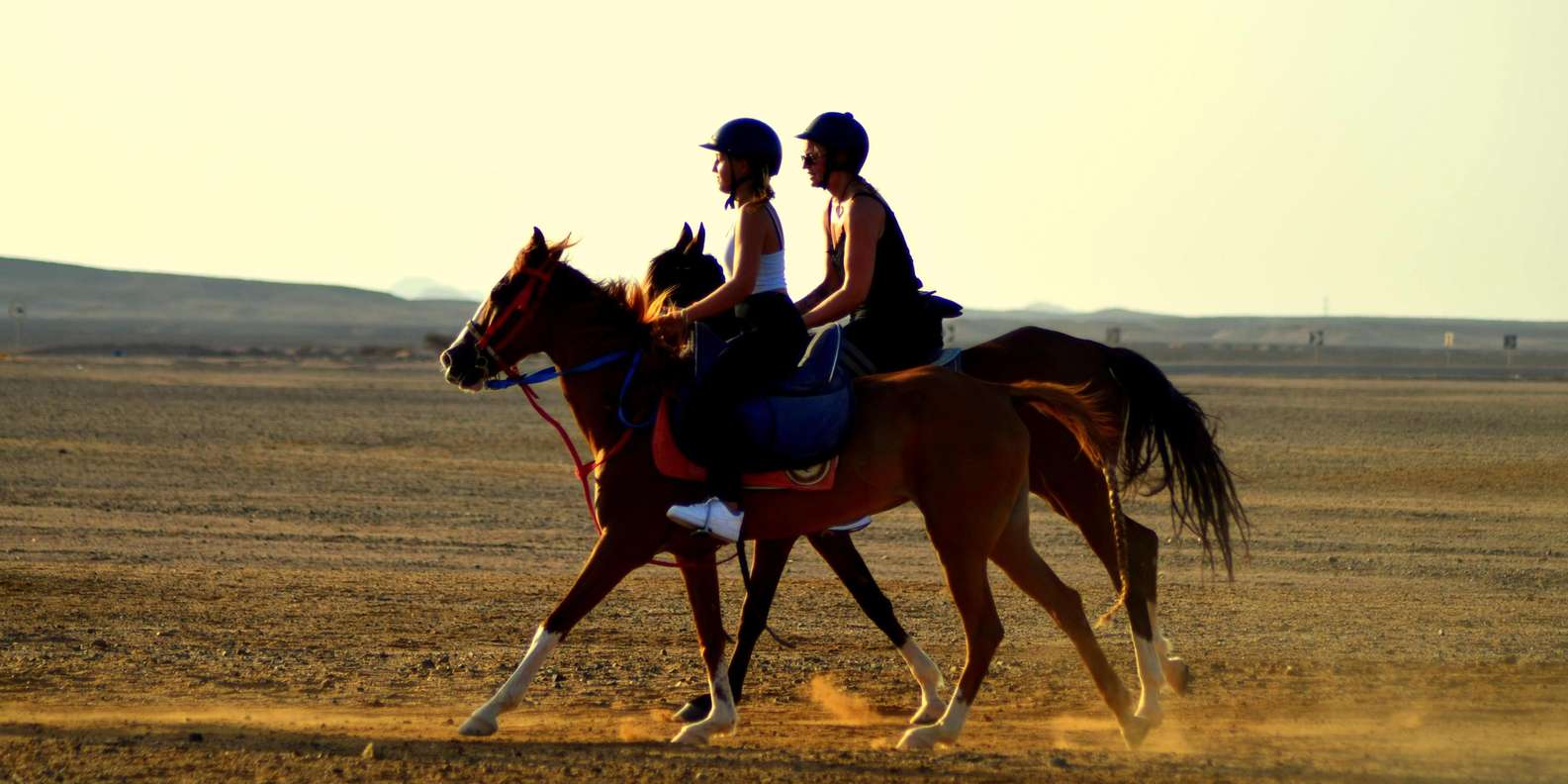 Marsa Alam: Sea and Desert Horseback Adventure