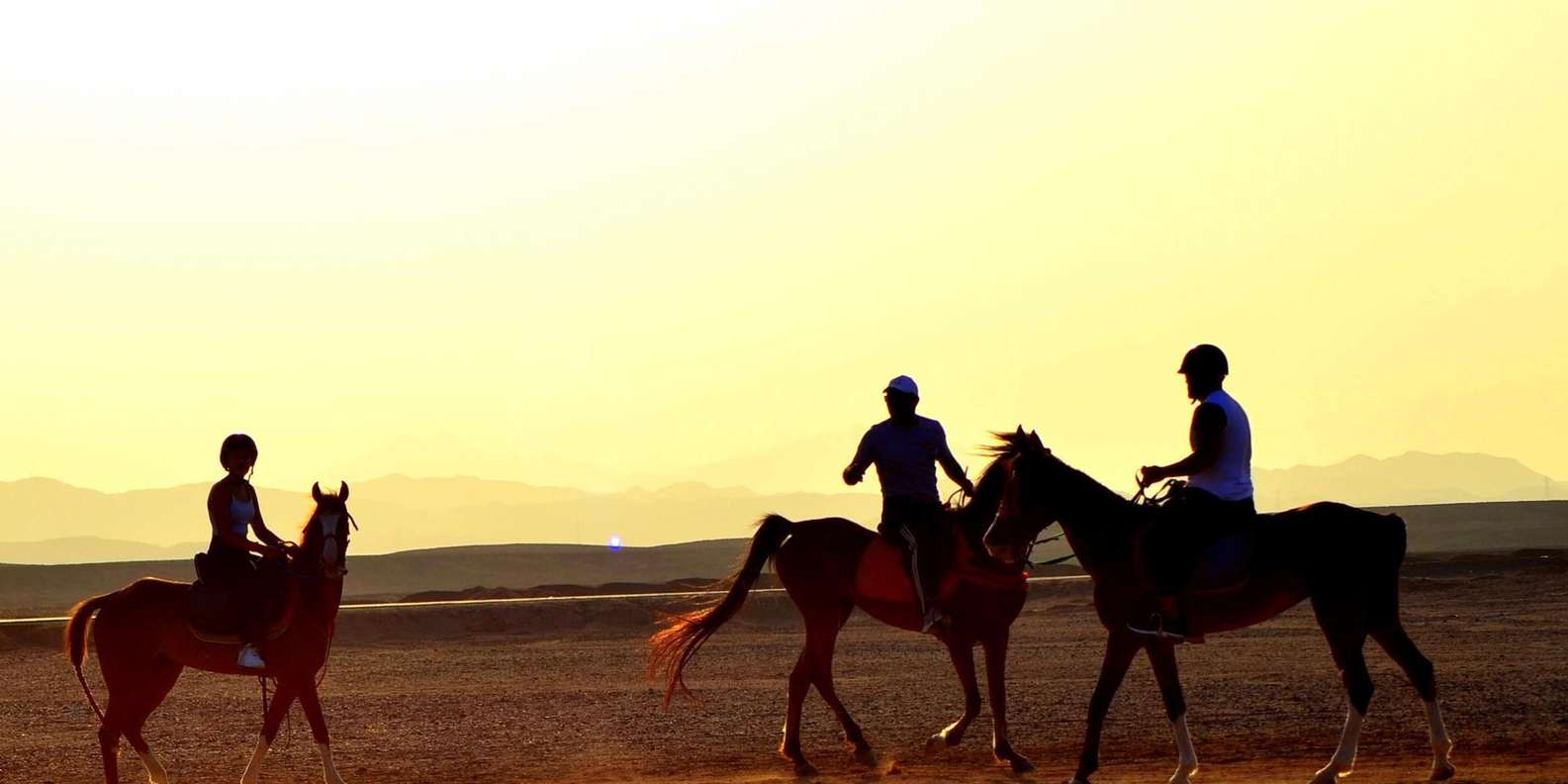 Marsa Alam: Sunset Horseback Ride, Dinner & Stars