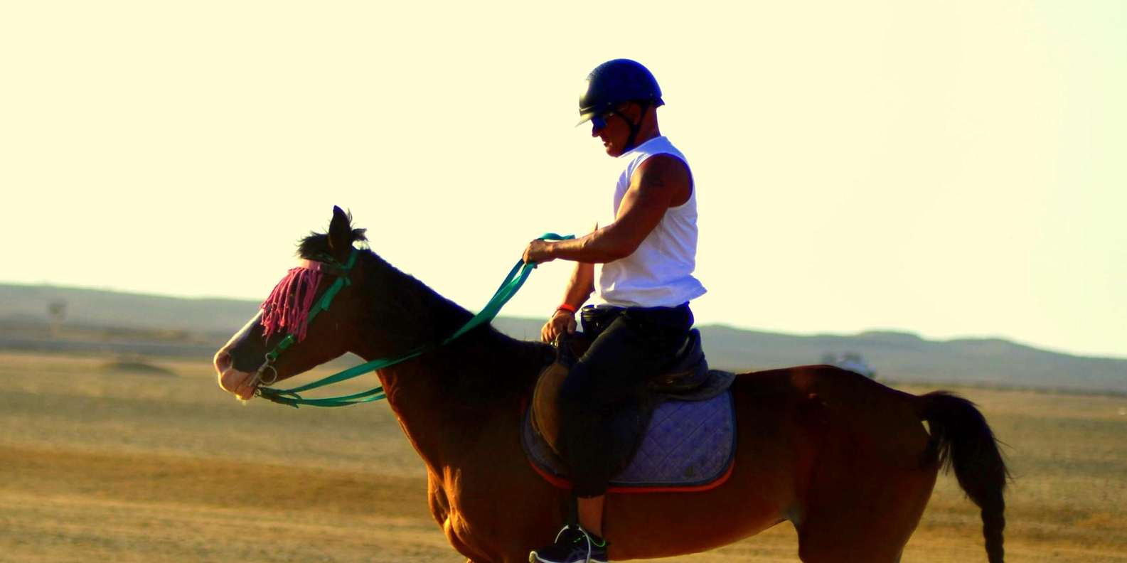 Marsa Alam: Sunset Horseback Ride, Dinner & Stars