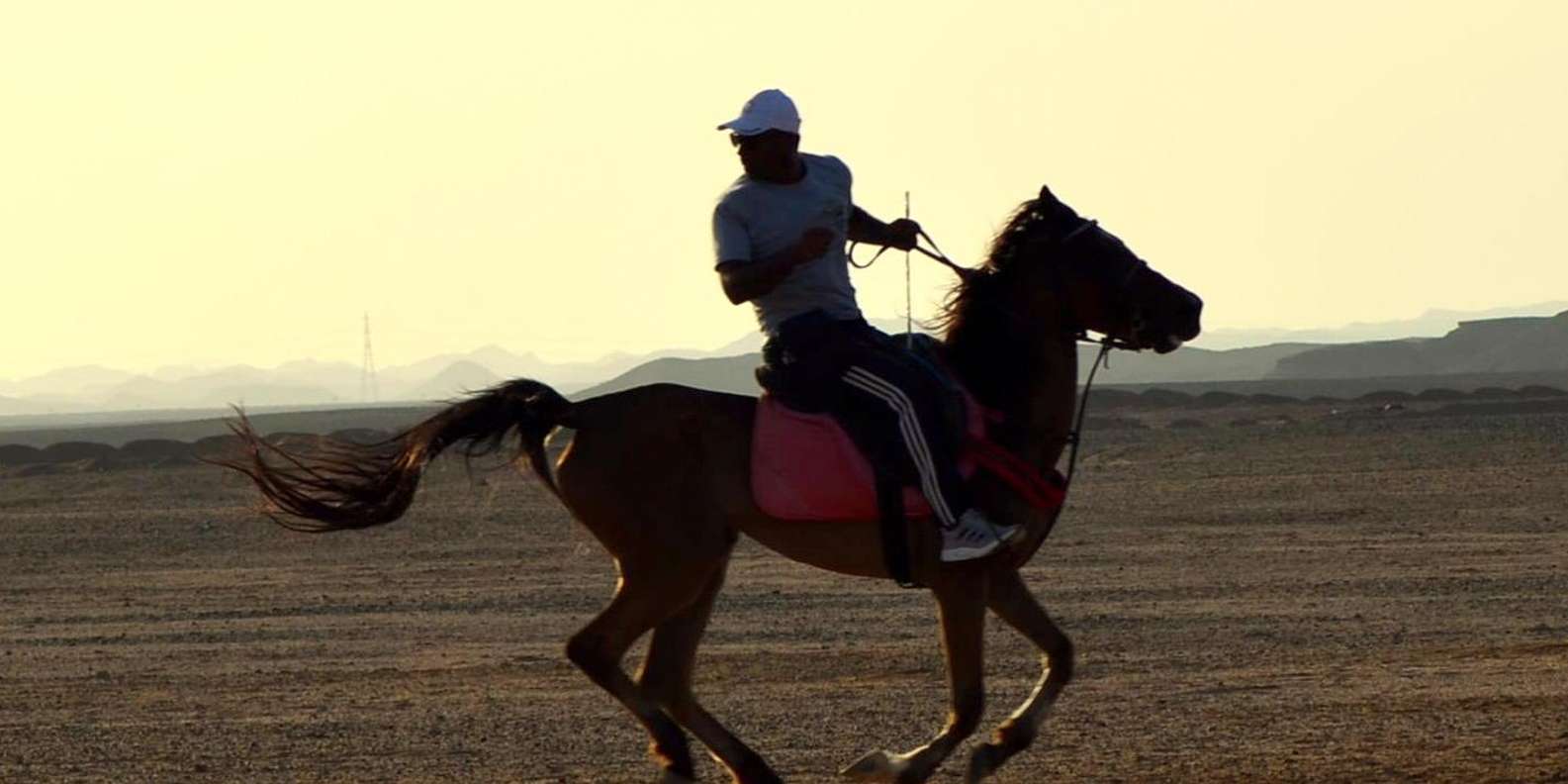 Marsa Alam: Sunset Horseback Ride, Dinner & Stars